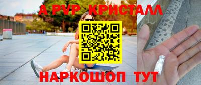 гашик Кунгур